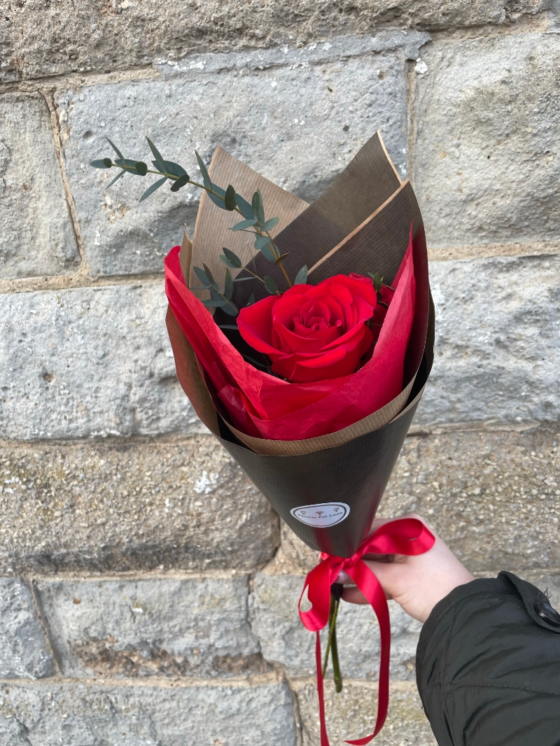 Single Red Rose Wrapped