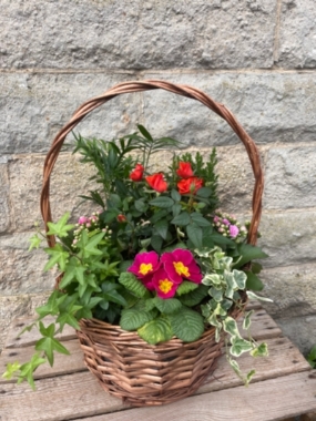 Mother's Day Plant Basket